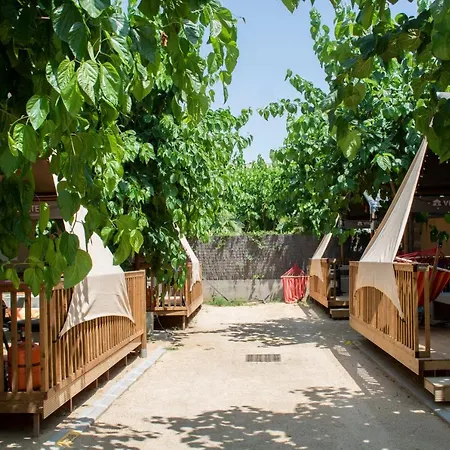 Glamping Οργανωμένο κάμπινγκ *